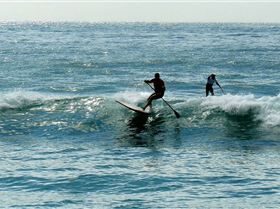 SPSC Palm Beach event