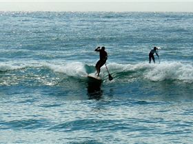 SPSC Palm Beach event