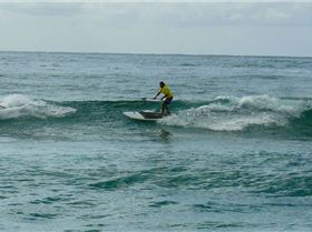 SPSC Palm Beach event