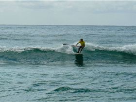 SPSC Palm Beach event