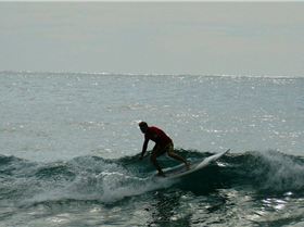 SPSC Palm Beach event