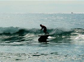 SPSC Palm Beach event