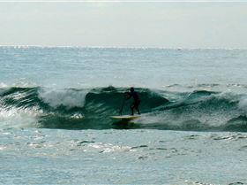 SPSC Palm Beach event