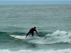 SPSC Palm Beach event