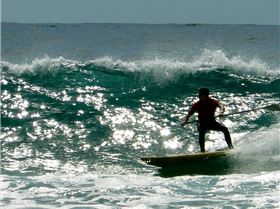 SPSC Palm Beach event