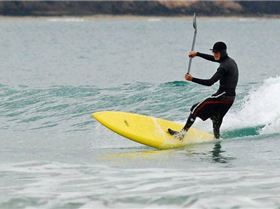 Sparrow Rippin Resize