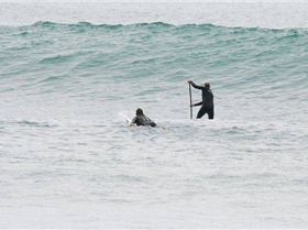 Yoda Bells 2 edited-1resize