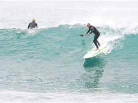 Yoda Rippin Bells edited-1resize