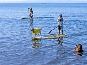 9022 156906901452 156868971452 2786654 236041 n