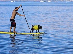 9022 156907211452 156868971452 2786699 4183402 n