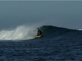 Bent Dreamer "Radman"