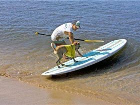 9022 156906676452 156868971452 2786617 1923650 n