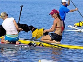 9022 156906741452 156868971452 2786626 3489168 n