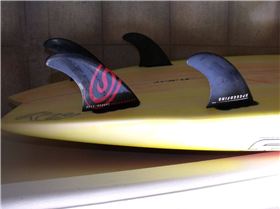 2009 1029supfins0005