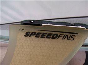 2009 1029supfins0007