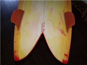 2009 1030supfins0011