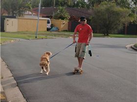 Gota Get A Big Stick