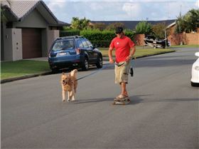 Gota Get A Big Stick