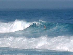 Hookipa Nov 12