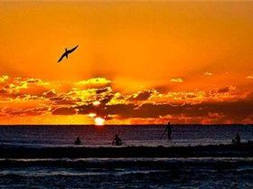 3764608883 0a28d0d631