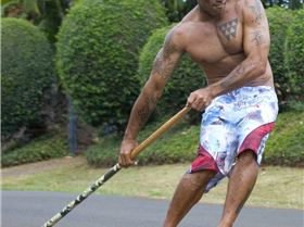 Buttons big stick 2 cropped