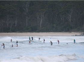 Boylos pics ...MAMBO