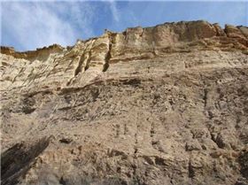 DEMONDS BLUFF 021 (Small)