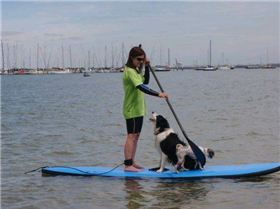 18035 259536559304 160978634304 4344455 3867026 n