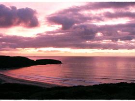 The Farm 31st December 2009 001