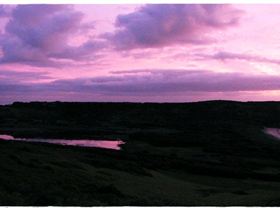 The Farm 31st December 2009 008