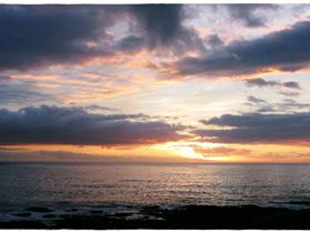 The Farm 31st December 2009 013