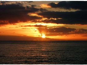 The Farm 31st December 2009 016