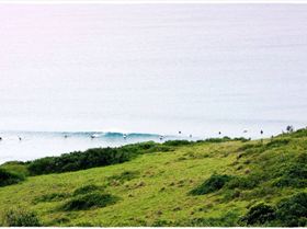 The Farm 31st December 2009 018