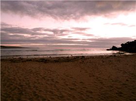 Early January Morning