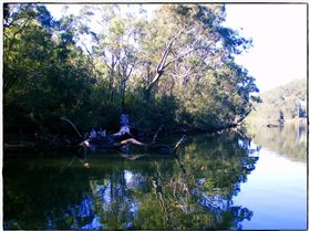 Woronora River 023