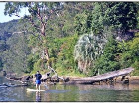 Woronora River 027