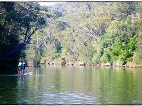 Woronora River 030