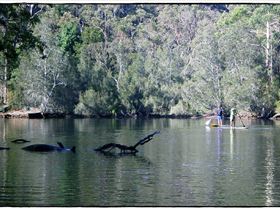 Woronora River 032