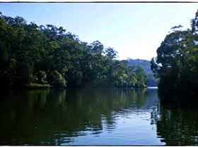 Woronora River 034