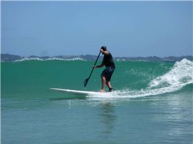 Stand Up Paddle