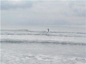 pictures  SUP Jan 2010 002