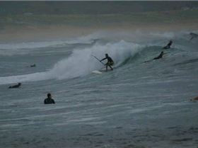 DSC01699 (Small) (2)