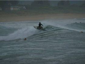 DSC01707 (Small) (2)