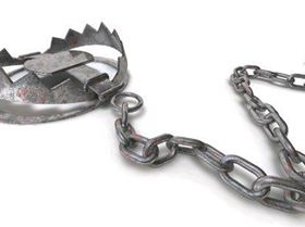 bear-trap