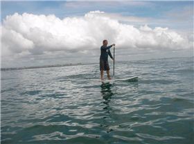Scott enjoying the weekend swell Feb 2010