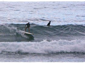 Tues Sharkies 076