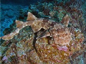 2838336090100390769S600x600Q85