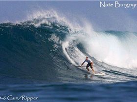 A NATE 10'6 GUN RIPPER