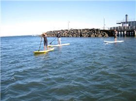 Stand Up Paddle