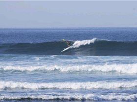 18943 273896465912 552115912 3899767 3679211 n